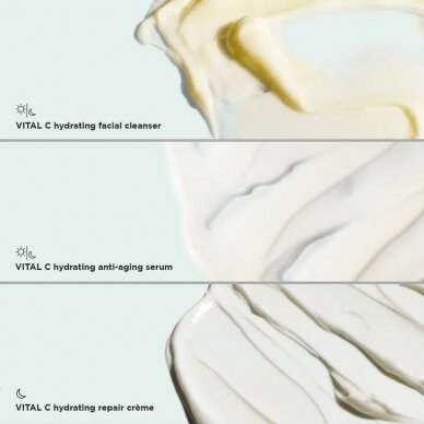 Image Skincare Vital Hydration kosmeetikakomplekt 1 Image Skincare Vital Hydration kosmeetikakomplekt 1